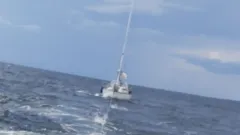 Segelbåt som bogseras