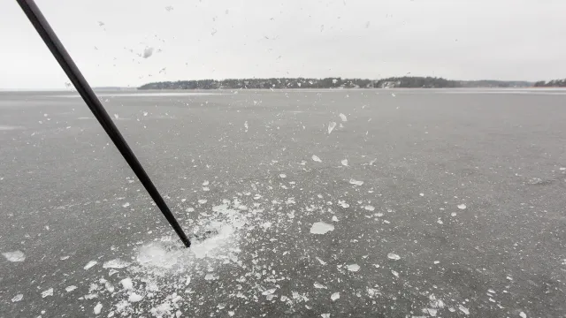 Ispik som slår ned mot isen för att testa bärigheten