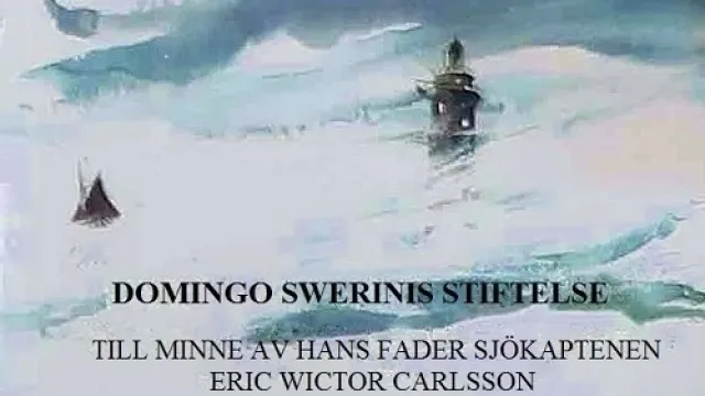 Domingo Swerins Stiftelse