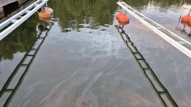 hej