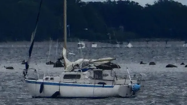 Segelbåt